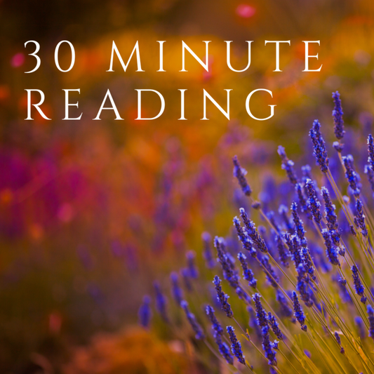 30 Minute Reading (Psychic, Mediumship, Past Life, Couples)